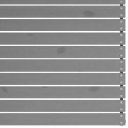 Sodo poilsio baldų komplektas, 7 dalių pilkas pušies masyvas - Lauko baldų komplektai